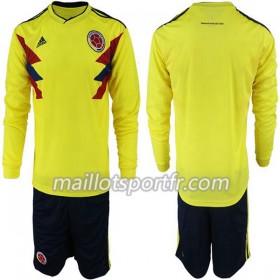 Maillot de Foot Colombie Enfant Domicile Coupe du monde 2018 ML